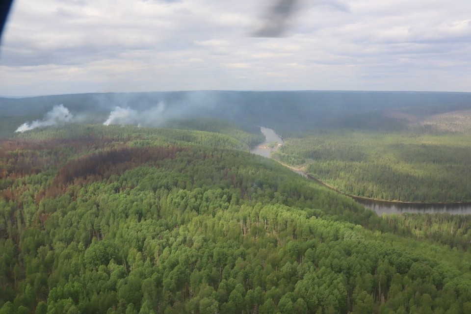    Фото: Лесопожарный центр Красноярского края