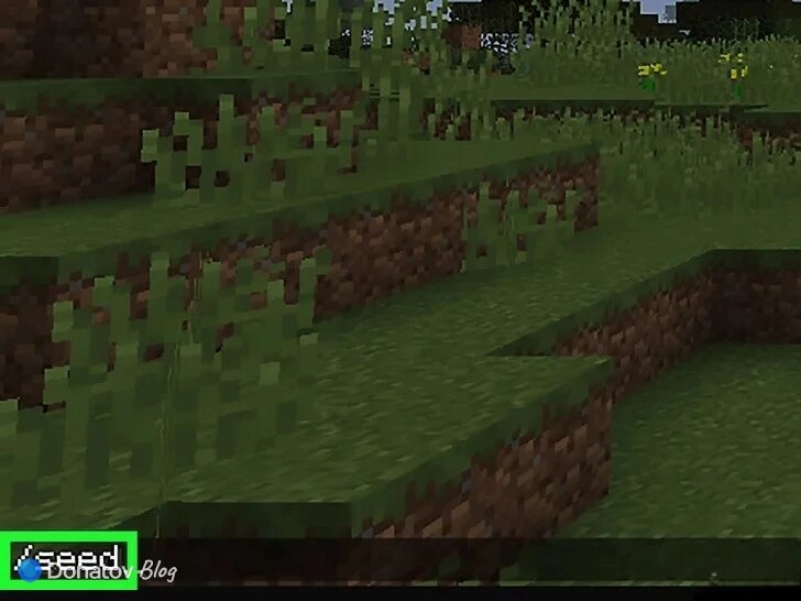    Как узнать сид в Minecraft Java Edition