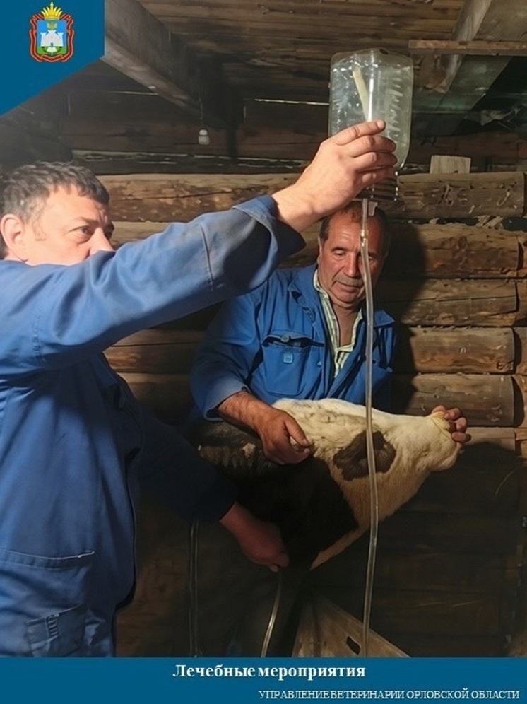     Фото: Управление ветеринарии Орловской области