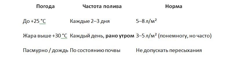 Таблица и фото Натальи Мироновой 