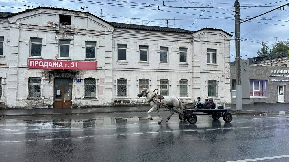    Фото: «Брянские новости»