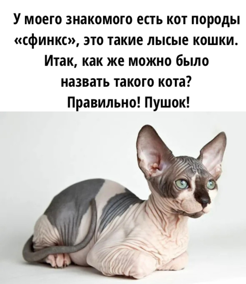 -20