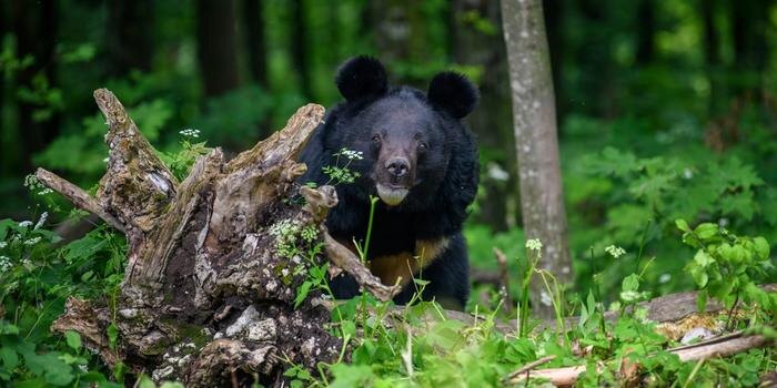 Обложка © Shutterstock / FOTODOM / Volodymyr Burdiak