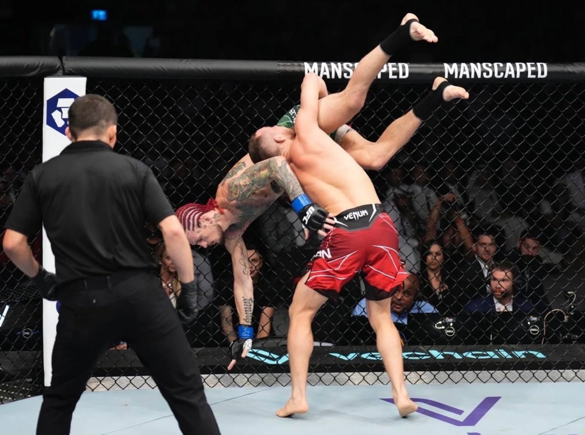    О'Мелли является чемпионом UFC в легчайшем весе
