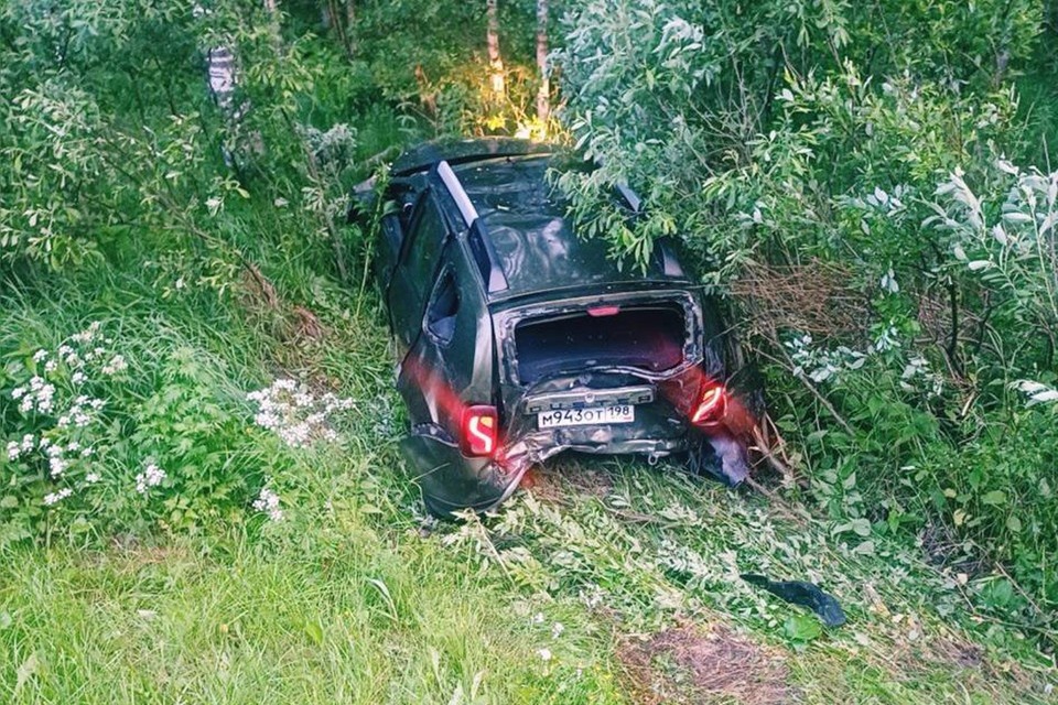    Авария произошла из-за лося, выскочившего на дорогу. Фото: https://t.me/newsdorin