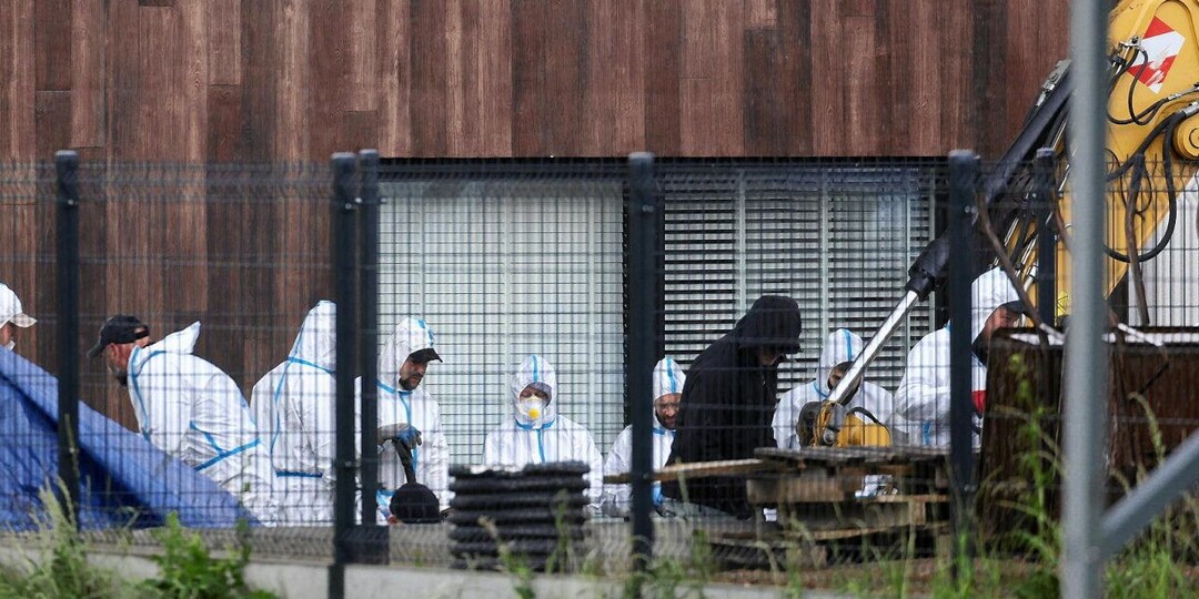 Останки 32 эмбрионов нашли на участке патологоанатома в Польше