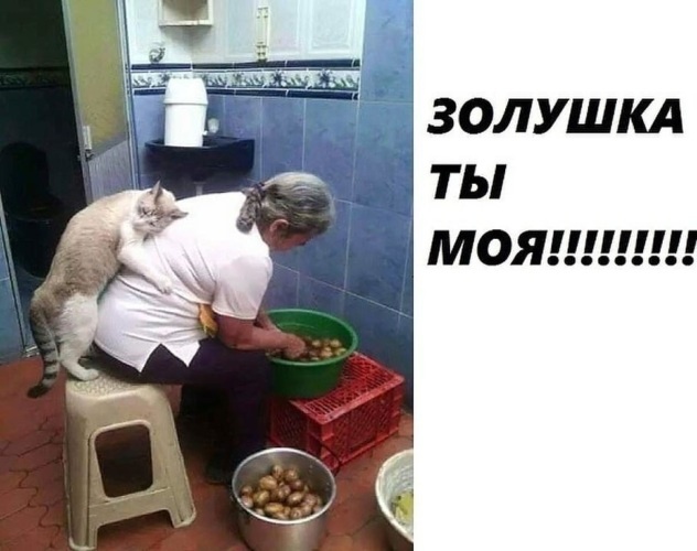 Я.Картинки