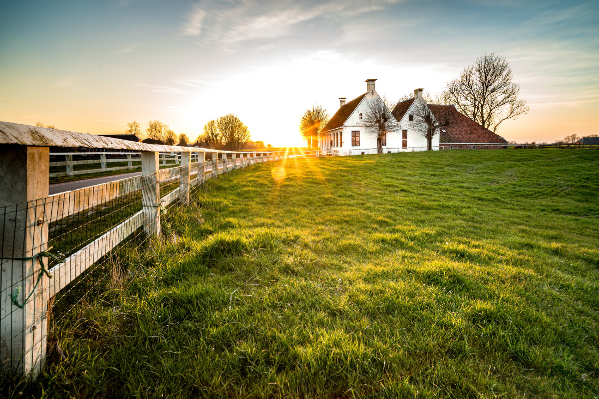 фото: freepik