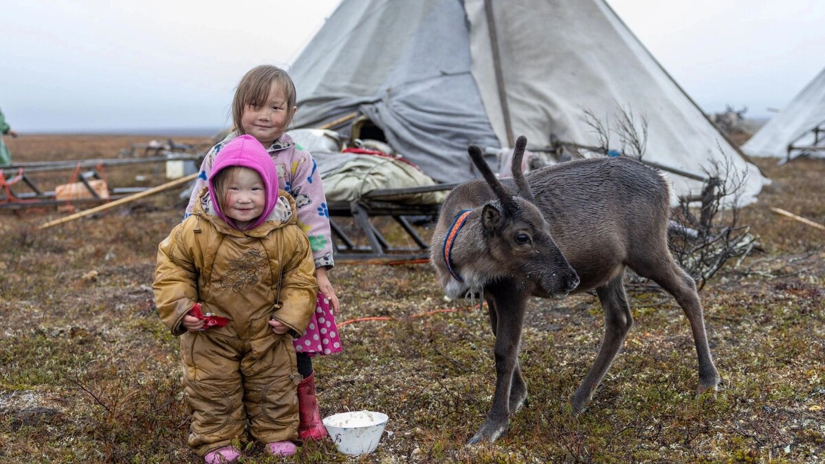    Фото: Фёдор Воронов / «Ямал-Медиа»