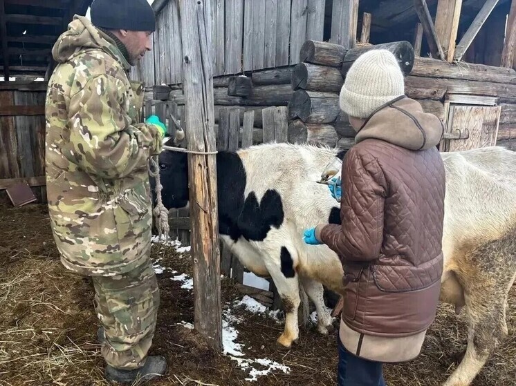     ФОТО: ПРАВИТЕЛЬСТВА ИРКУТСКОЙ ОБЛАСТИ
