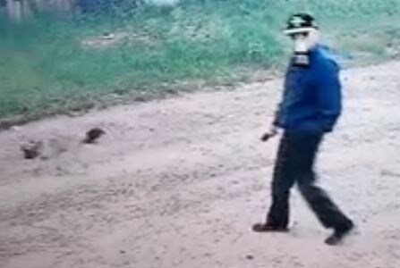 скриншот видео