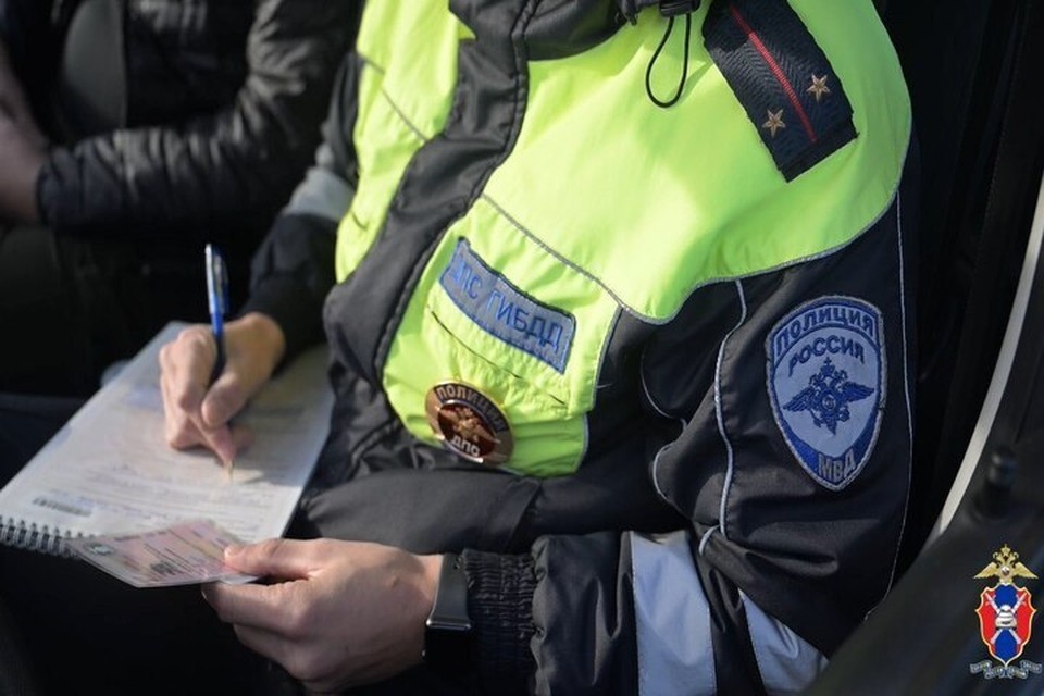    Ряд нарушителей остановили на дорогах региона. Фото: ГИБДД Херсонской области