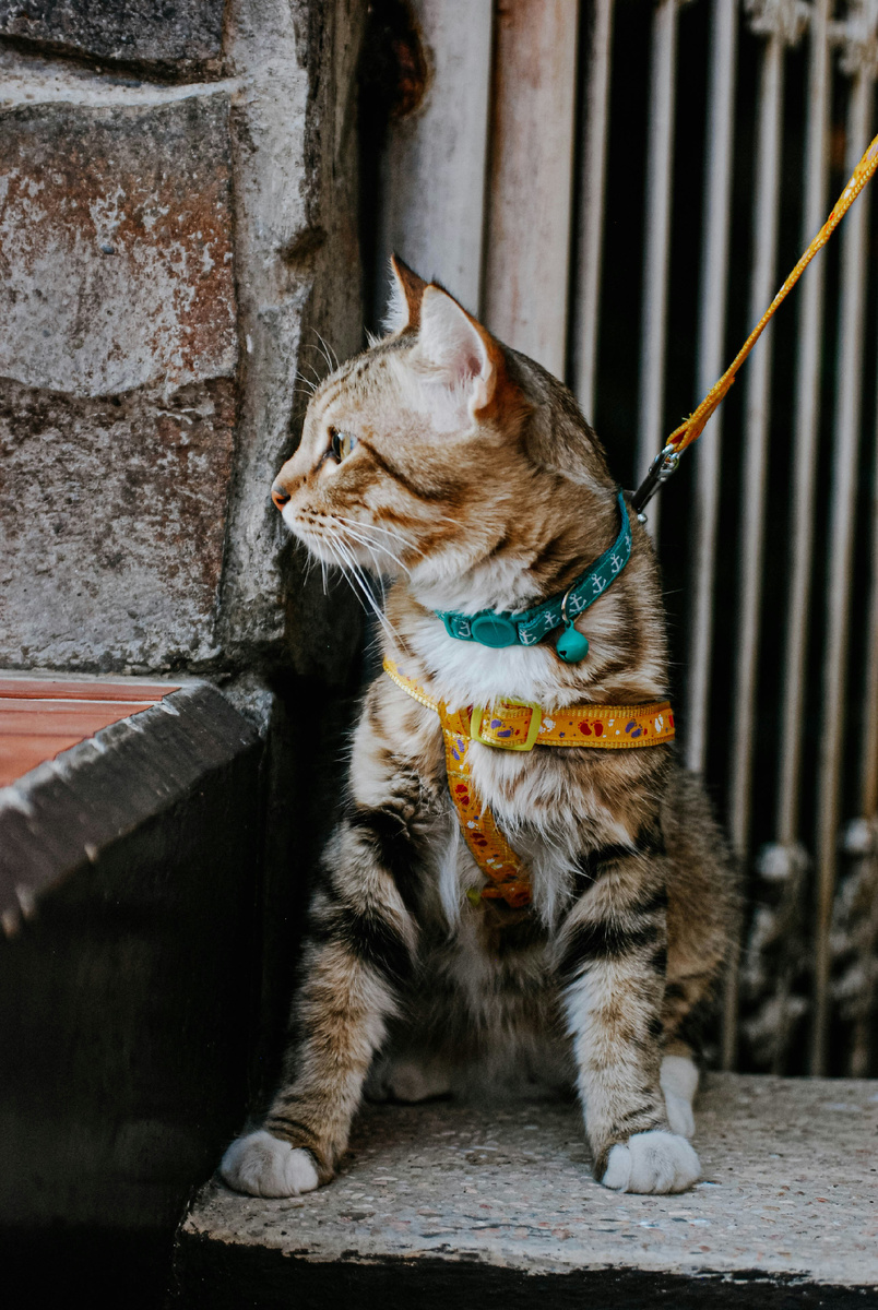 Фото Unsplash 