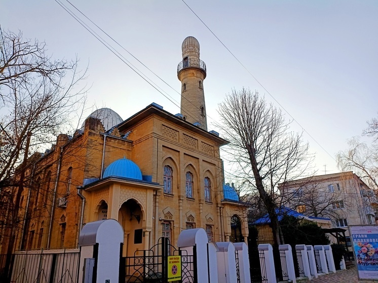     Фото: МК-Кавказ