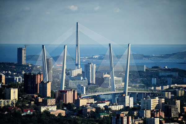 Orlov Sergei/Shutterstock/FOTODOM   📷
