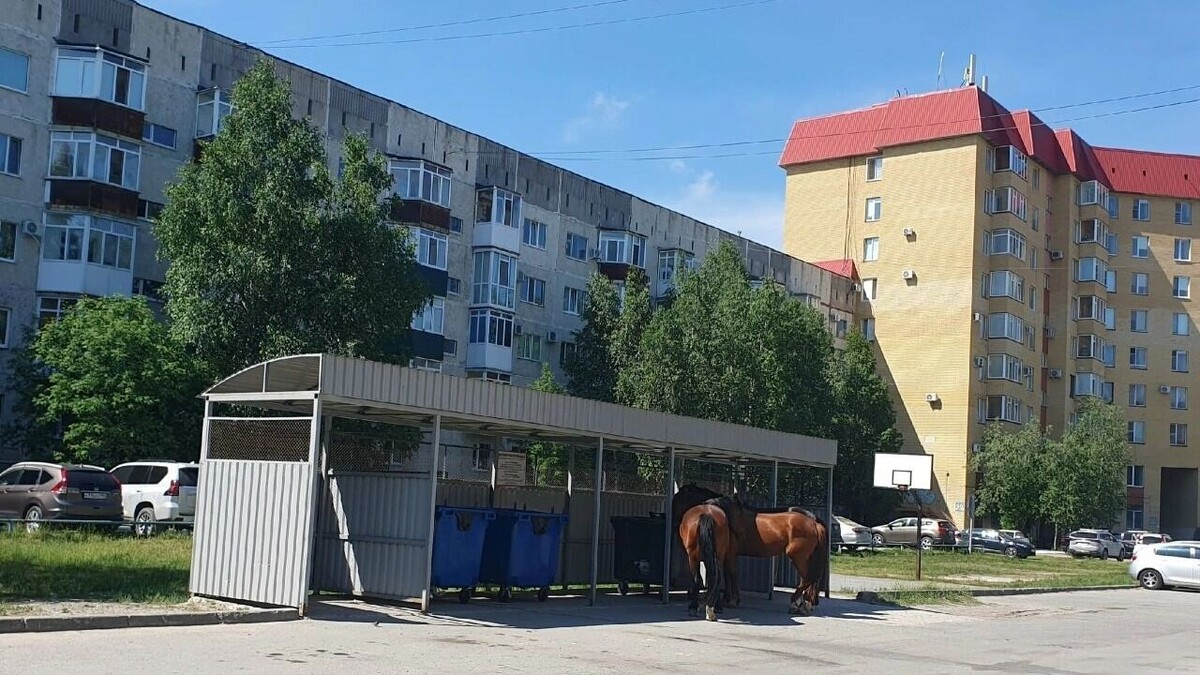   Это Юганск, детка! / https://vk.com/eto_yugansk_detka?w=wall-52642163_1733141