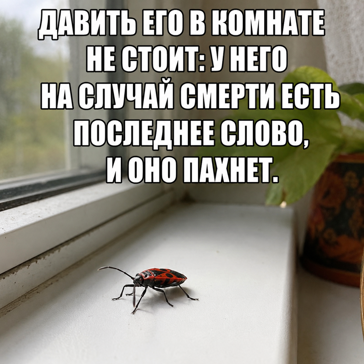 -5