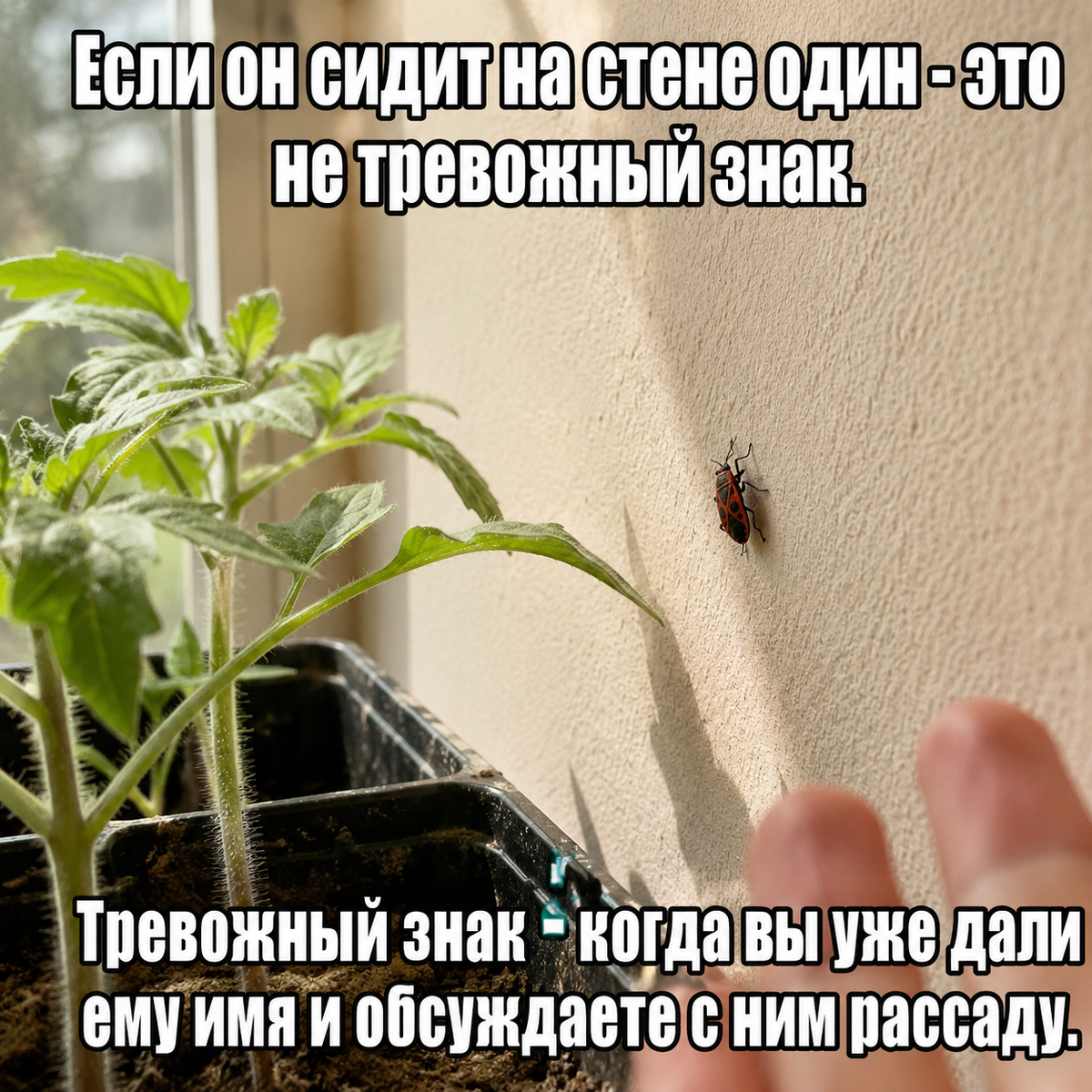 -7