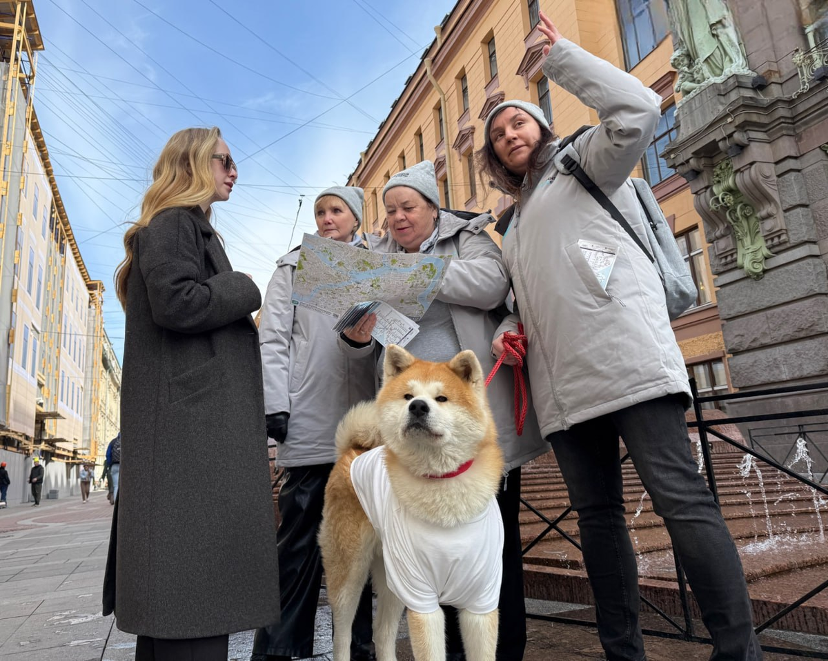 Фото: служба «Ask me SPb» / сайт Смольного