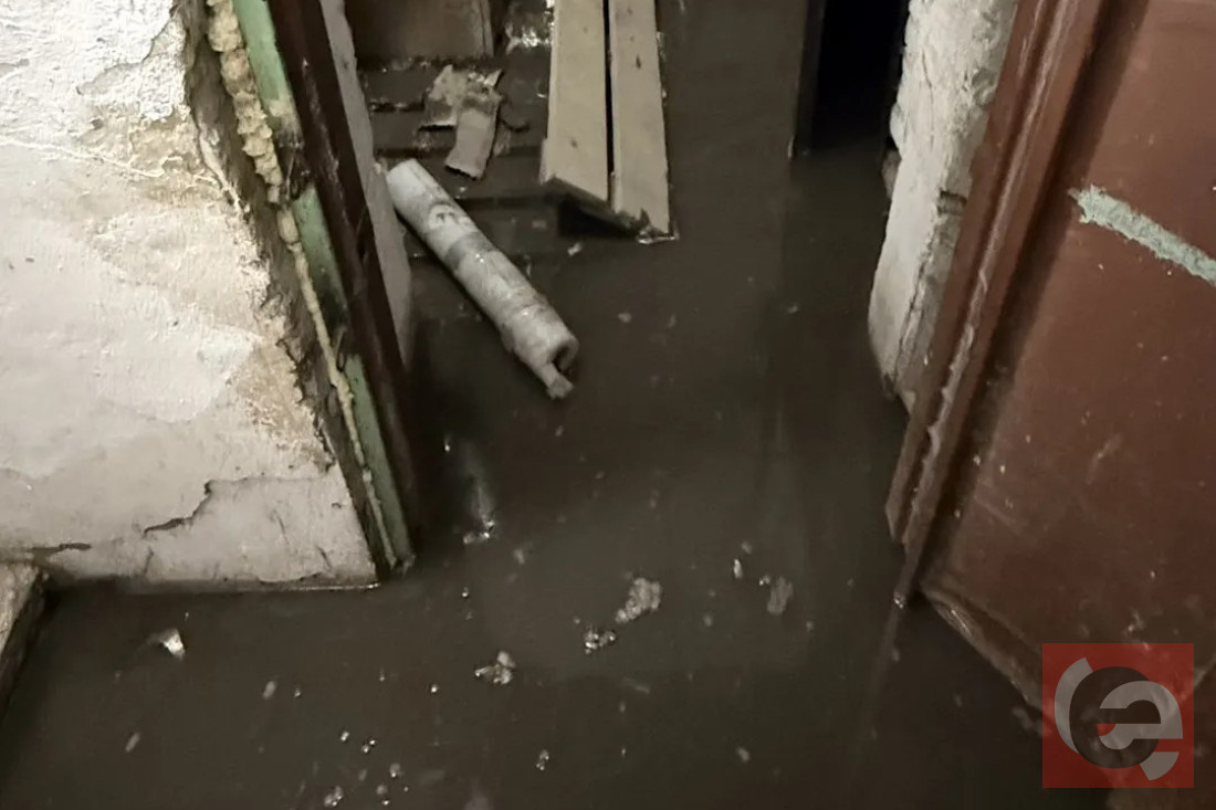    Фото: читатель Прецедента