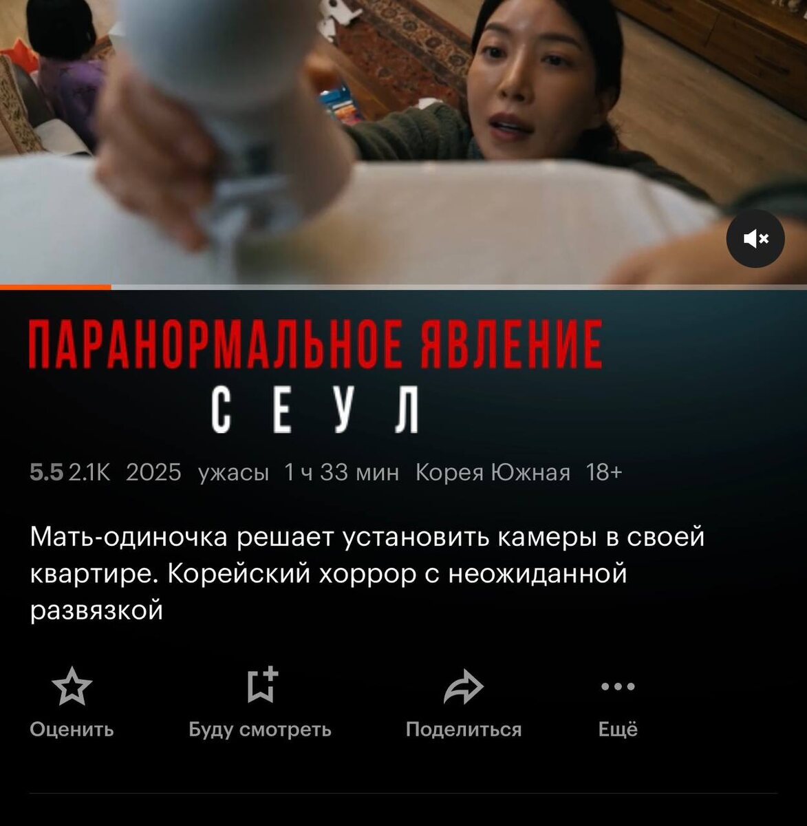 Домашняя камера (2025)