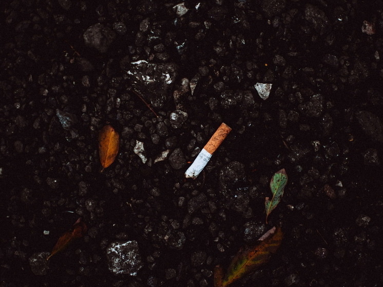     Фото: pexels