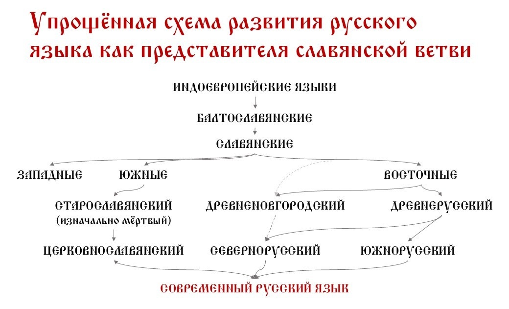 Упрощённая схема развития русского языка как представителя славянской ветви. Схема моя.