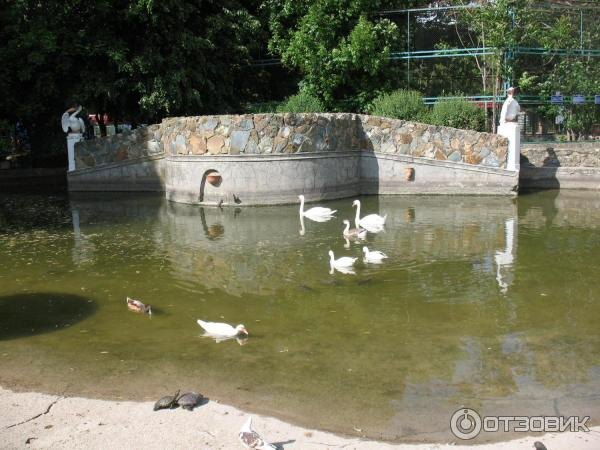 Фото из интернета.