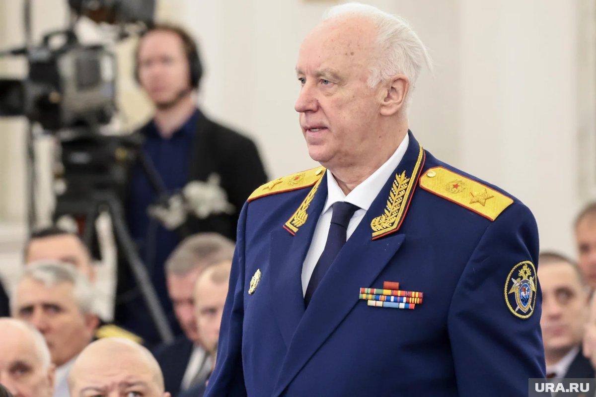     Александр Бастрыкин поручил предоставить доклад о расследовании захвата власти в СНТ «Тимер»