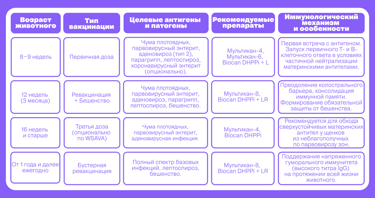 График вакцинации собак: анализ препаратов