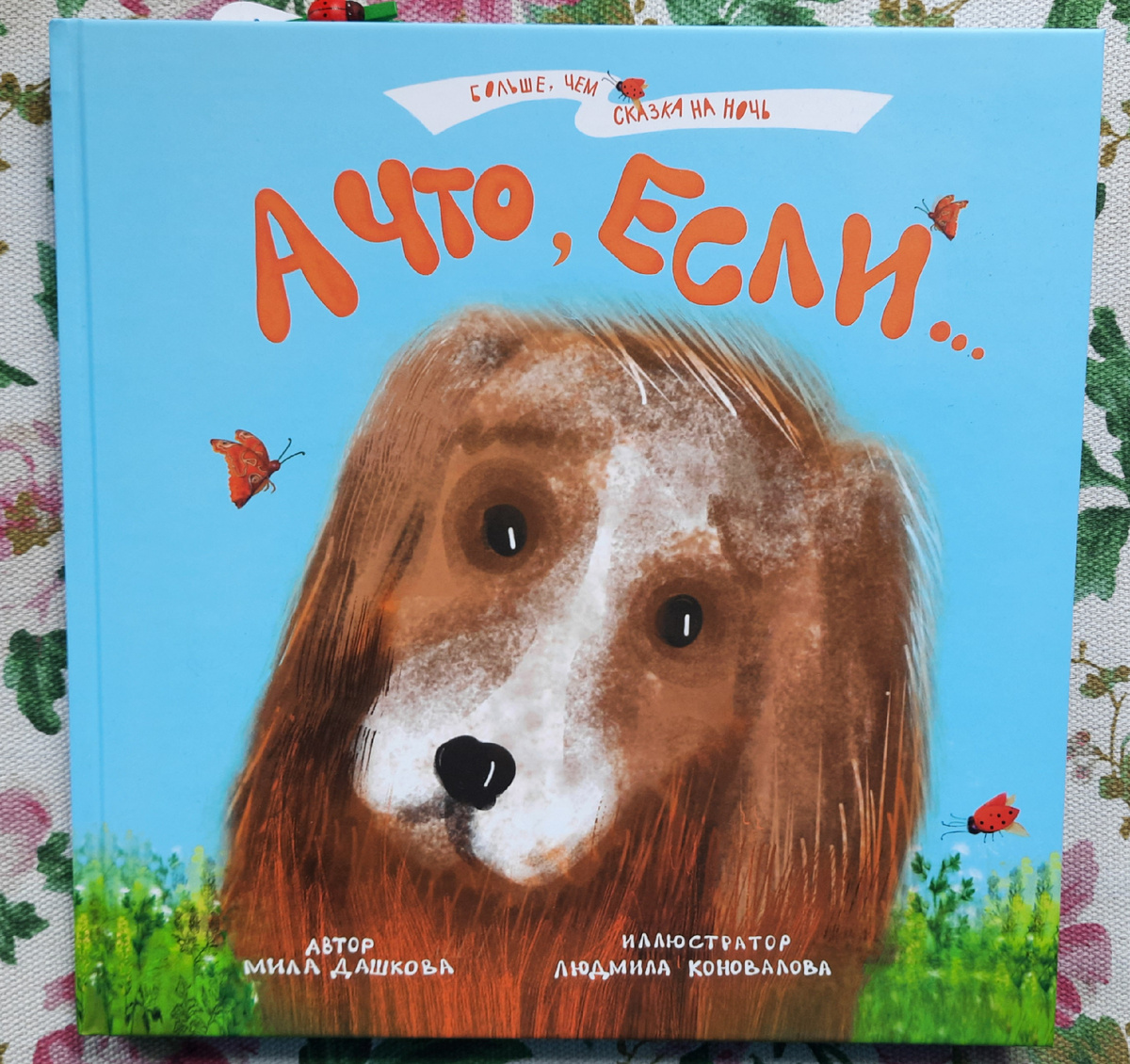 Знакомство с книгой начинается!