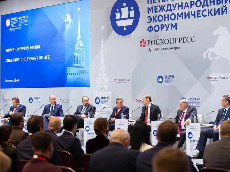     Участники бизнес-диалога обсудили сотрудничество РФ и Бразилии. Фото: Пресс-служба РАПУ.