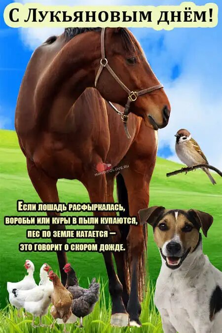 свобод.источник
