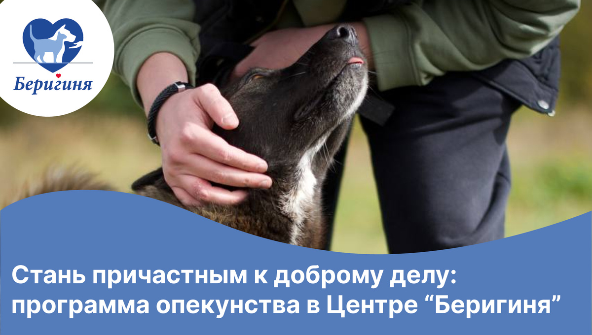 #берегиня_Стэн