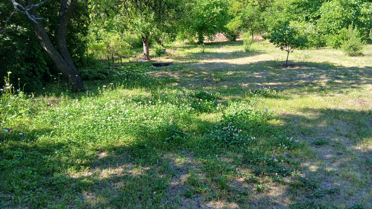 Наши просторы. Фото автора