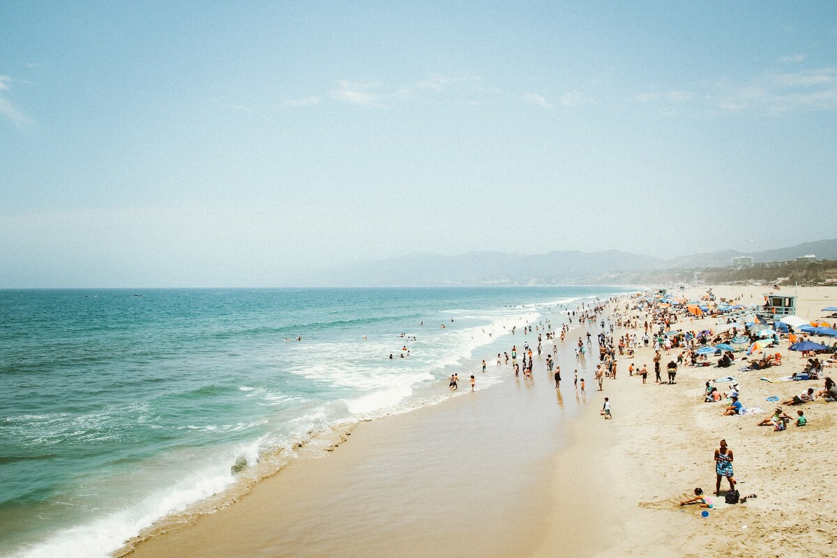    Фото: unsplash.com/Johnny Chau