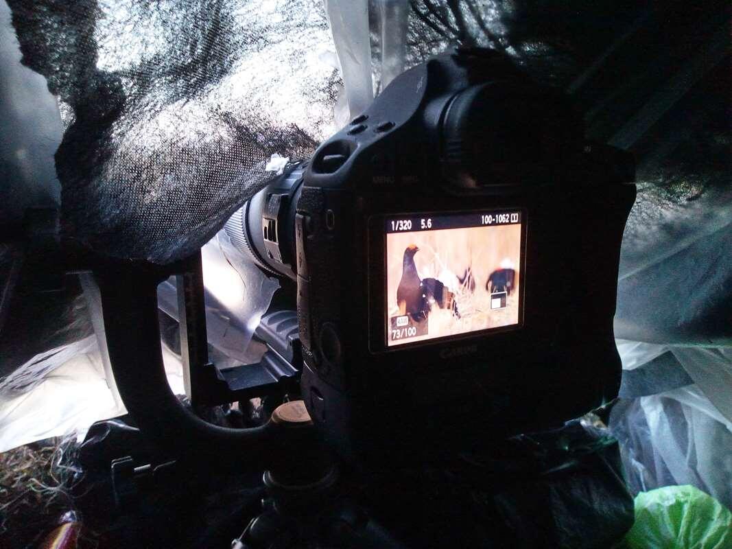    Работа фотографа на пленере stalker