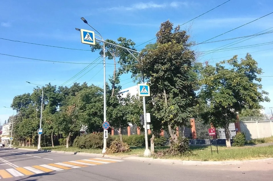    Специалисты уже провели обрезку деревьев на проспекте Нахимова, улицах Латышева и Университетской, а также в Днепропетровском переулке. Фото: МАХ/Кольцов