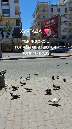 Хургада ❤️ жара