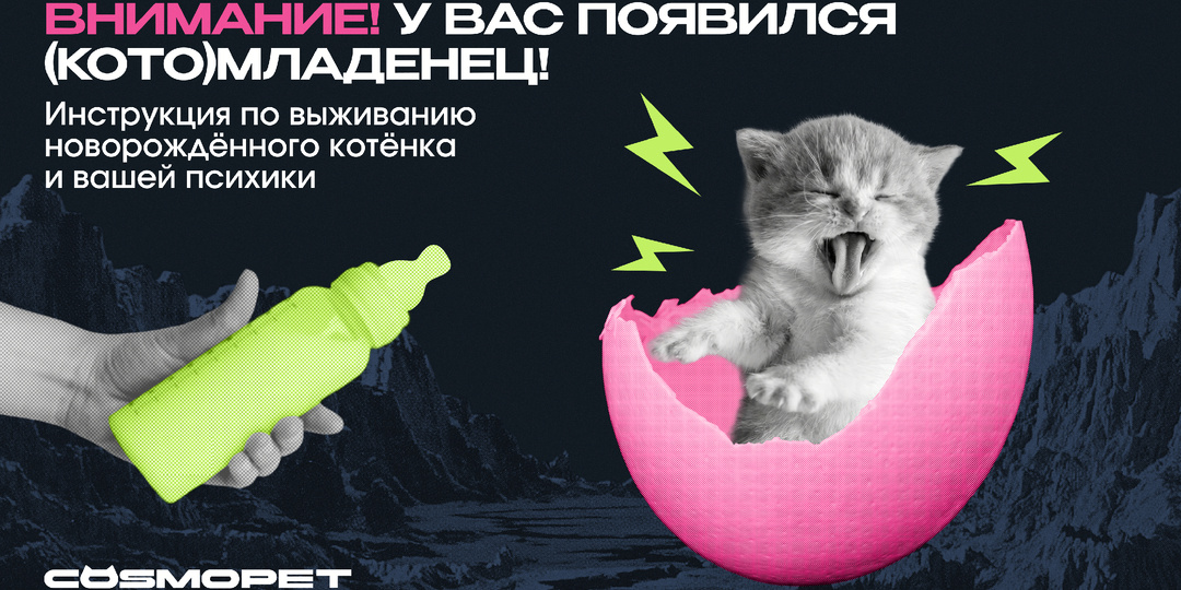 Внимание! Найден новорождённый котёнок! По вопросам обращайтесь...