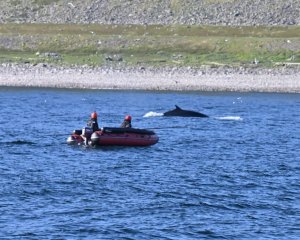    Фото: boomerangclub.ru