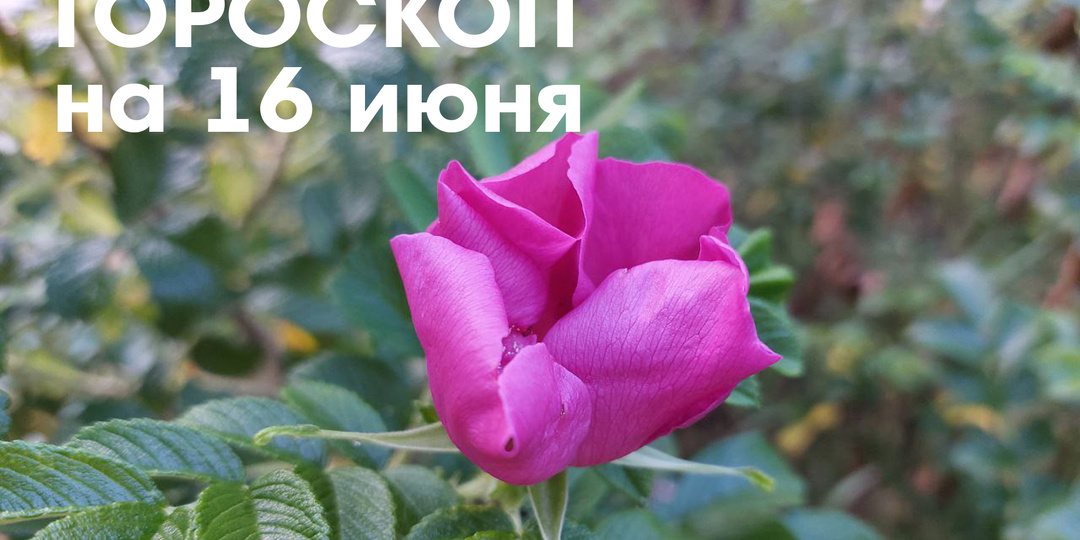 Гороскоп на 16 июня 2026 года: растущая Луна в Раке - переговоры и встречи будут успешными