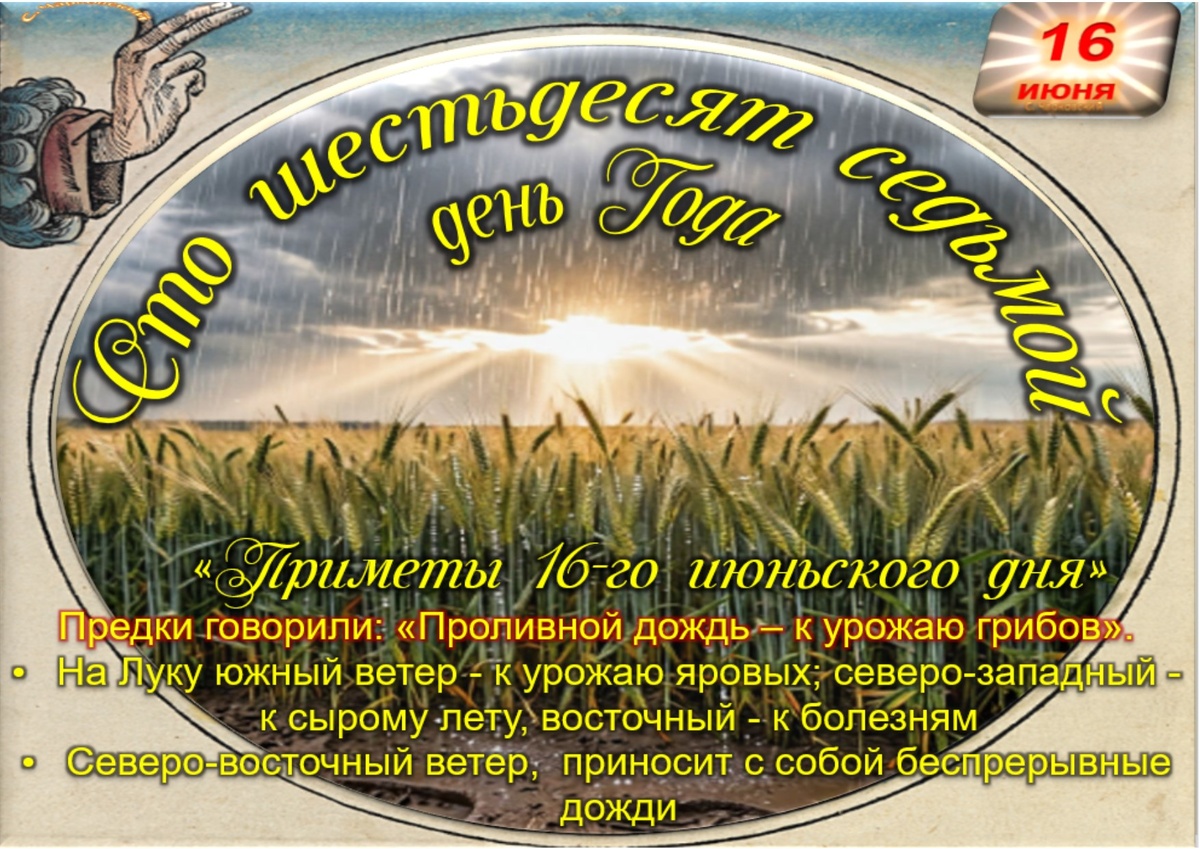 Встречаем новый день