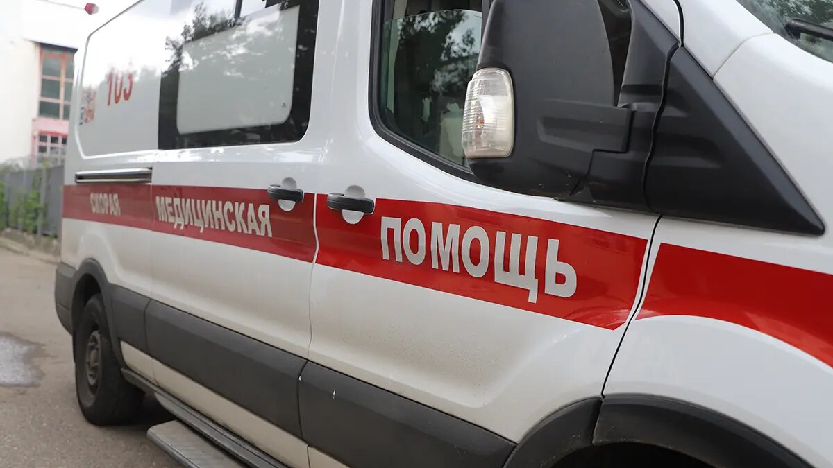    Источник: vm.ru/ Алиса Седова