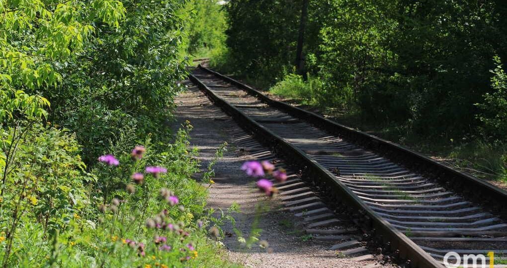 В Марьяновке грузовой поезд насмерть сбил 80-летнюю женщину