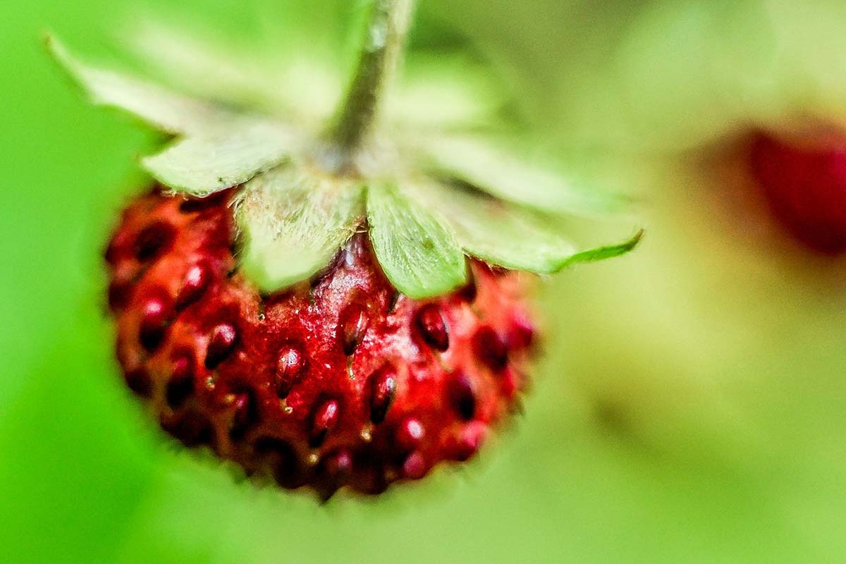    Фото: Christian Widell / Unsplash.com
