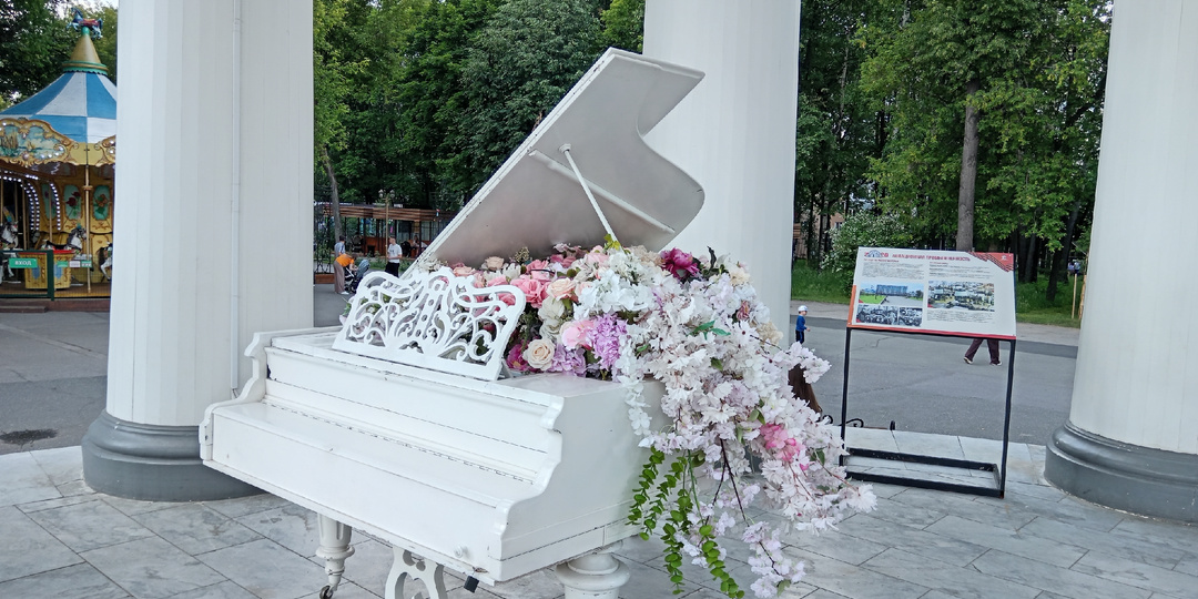 15 июня 2026 года. Понедельник. Поездка в качестве сопровождающей, или Дела медицинские