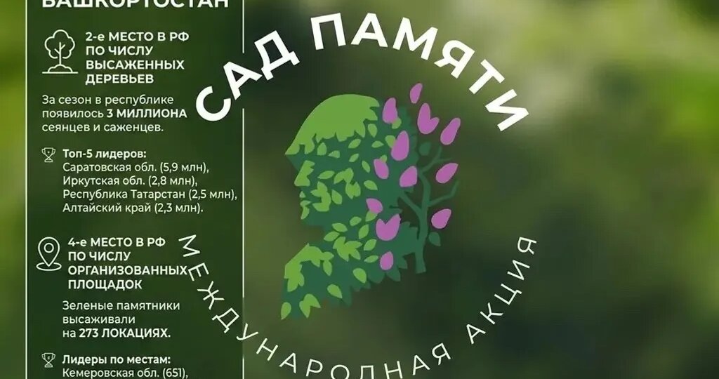 Башкортостан вновь в числе ведущих регионов России по итогам международной акции