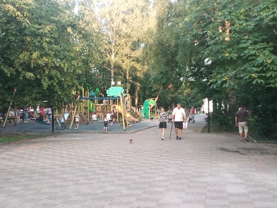    От курян продолжают поступать жалобы на состояние городских парков и скверов Даниил НАЙХИН