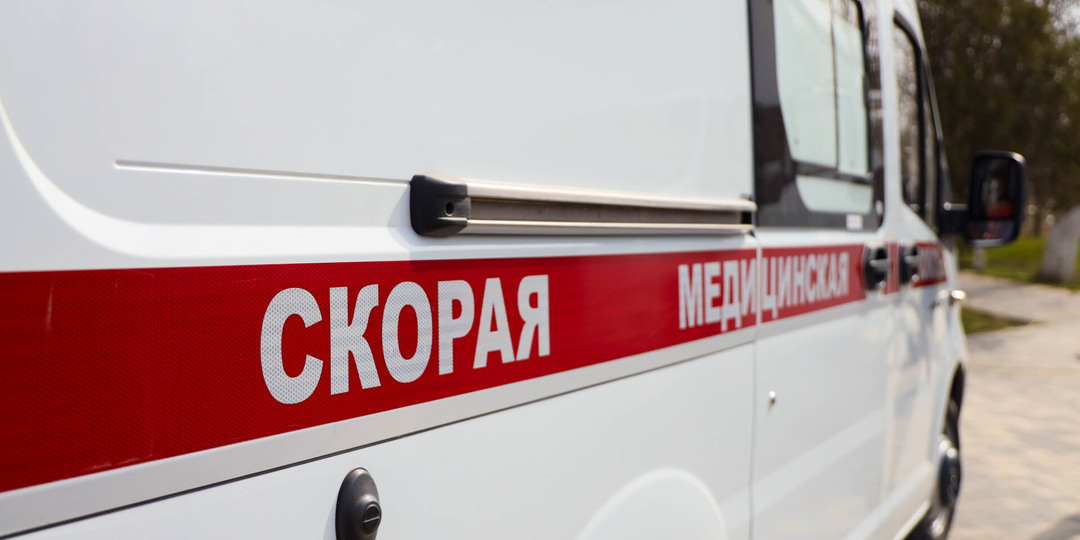 В Чаплинском округе 16-летний подросток пострадал от укуса гадюки
